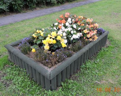 Brownies Planter  2014