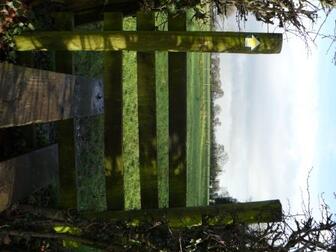 Walk 6 - First Stile
